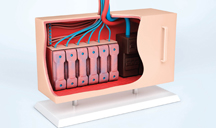 ddos攻击在哪能买到